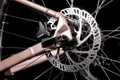 Cube Access WS EAZ Blushmetallic´n´flashyellow -MTB Teile Verkauf 525210 D4