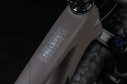 Santa Cruz Tallboy 5 C S -MTB Teile Verkauf Santa Cruz 192219250113 20123431 Tallboy 5 C S 4iB1G55TtrjFPE