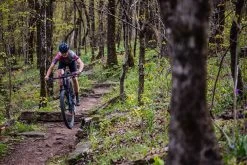 MTB Teile Verkauf -MTB Teile Verkauf htSQD FULL SHOOT Bvernor 0612rcsY3xEFMS6Ou